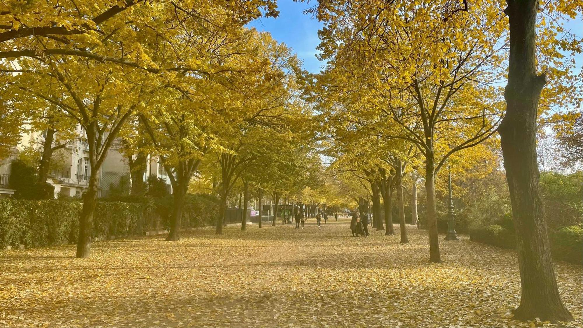 Elegant Apartment - 2Br-5P - Champs De Mars Paris Luaran gambar